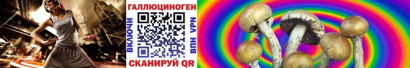 Галлюциногенные грибы Psilocybine cubensis  OMG ССЫЛКА  Суоярви 