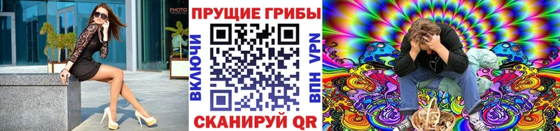 Псилоцибиновые грибы Psilocybine cubensis Суоярви